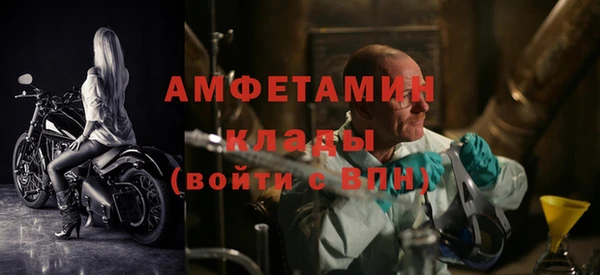 ПСИЛОЦИБИНОВЫЕ ГРИБЫ Баксан