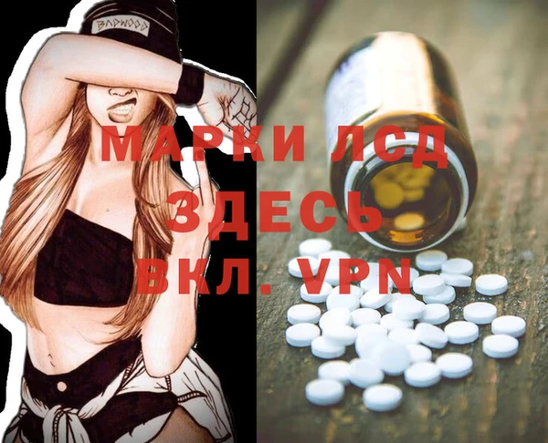 ПСИЛОЦИБИНОВЫЕ ГРИБЫ Баксан