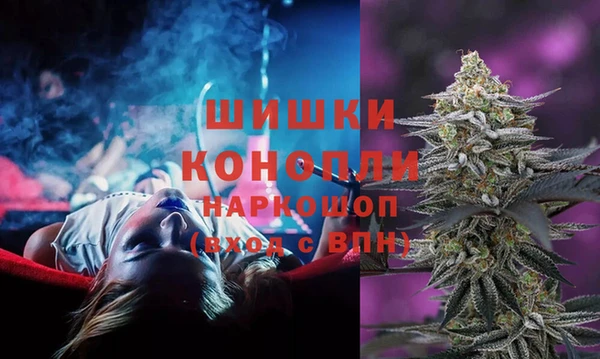 ПСИЛОЦИБИНОВЫЕ ГРИБЫ Баксан