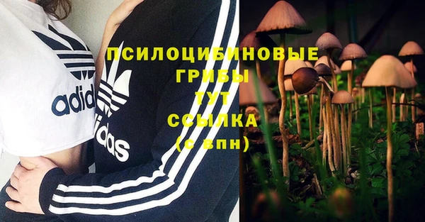 дживик Балабаново