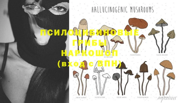 ПСИЛОЦИБИНОВЫЕ ГРИБЫ Баксан