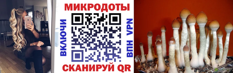 Галлюциногенные грибы MAGIC MUSHROOMS  Талдом 